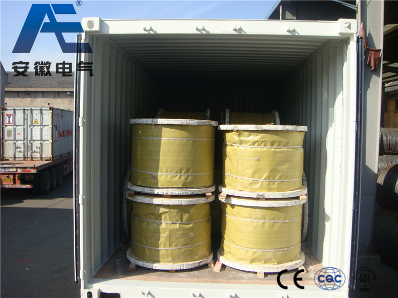 Galvanized Iron Wire for Fence, Binding Wire and Christmas Tree