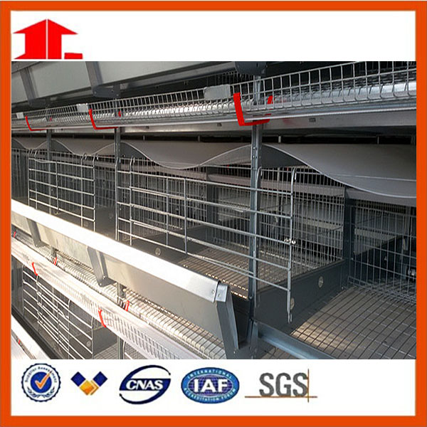 Poultry Feed Manufacturers H Type Layer Chicken Cage Farm Equipment for Chicken