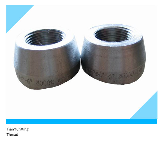 3000# Female Carbon Steel Forged Fittings Threadolet