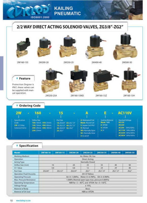 Stainless Steel Material AC220V Solenoid Valve