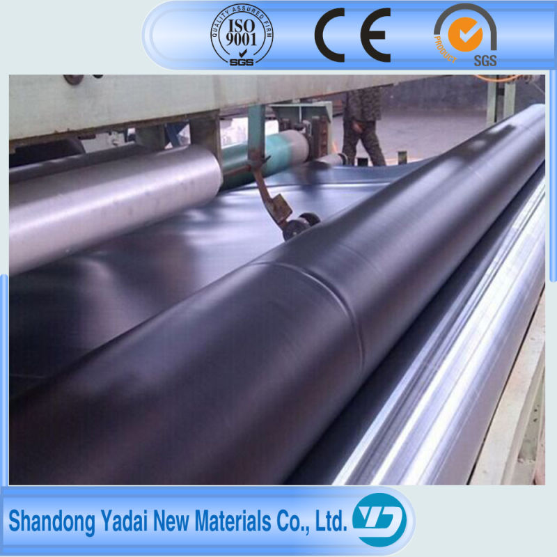 Hot Sale Fish Pond Pool HDPE 30mil Geomembrane Liner