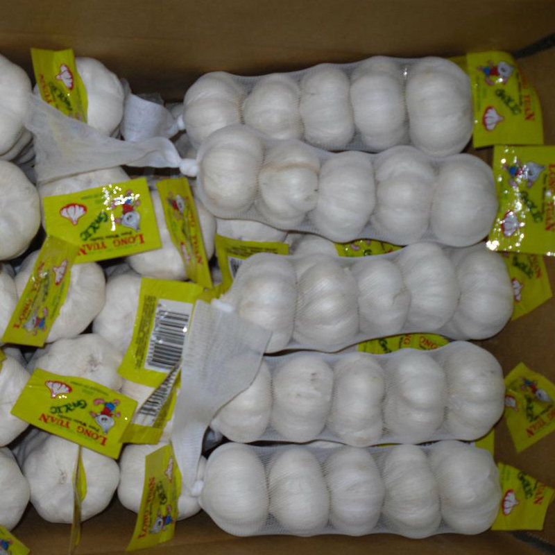 Experienced Supplier of Chinese Fresh White Garlic