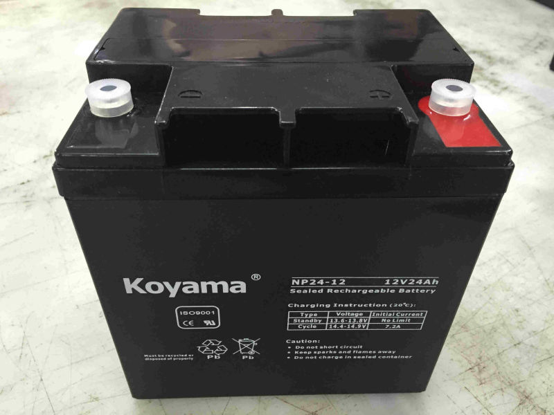 12V 24ah Lead Acid AGM Battery for UPS/Surge Protector