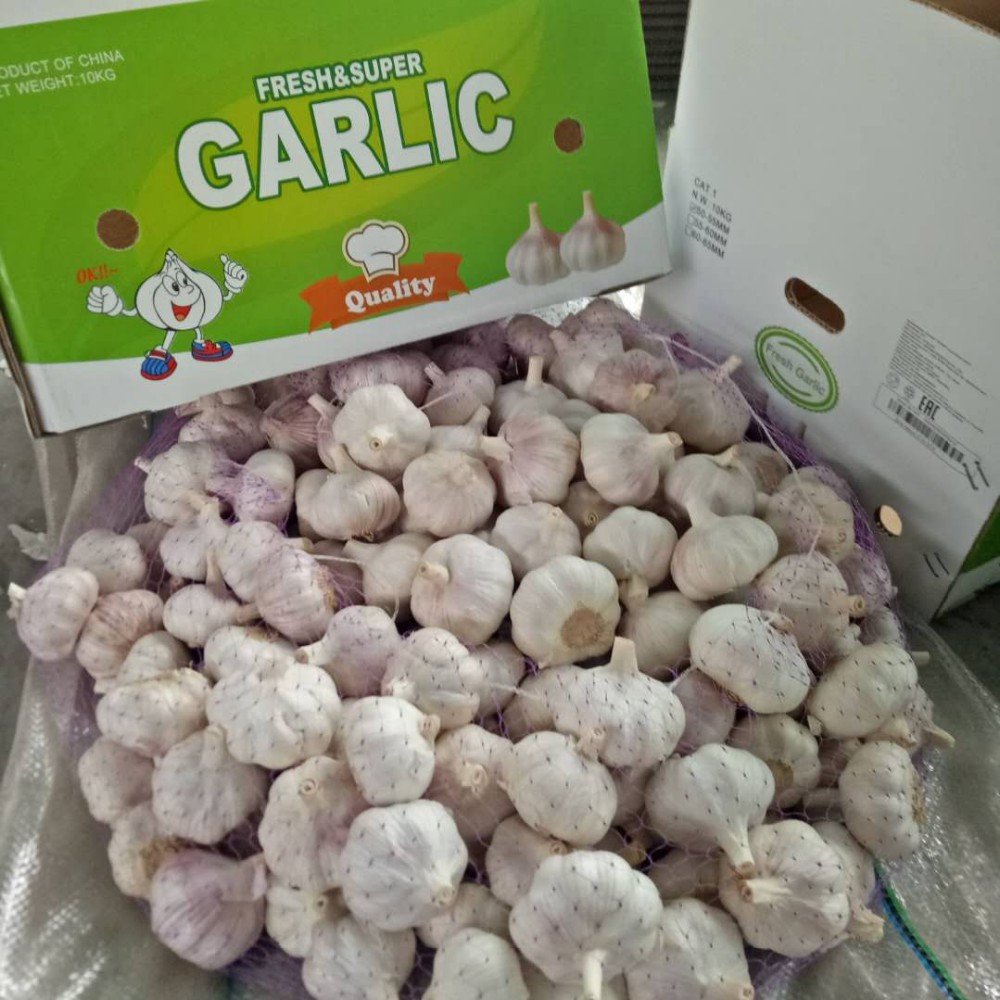 High Quality Bulk Garlic Hot Sales