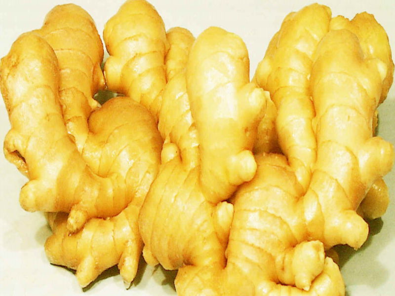 2015 New Crop Chinese Fresh Ginger Vegetables