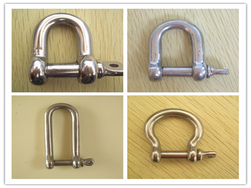 AISI 304 316 European Type Stainless Steel Dee Shackle