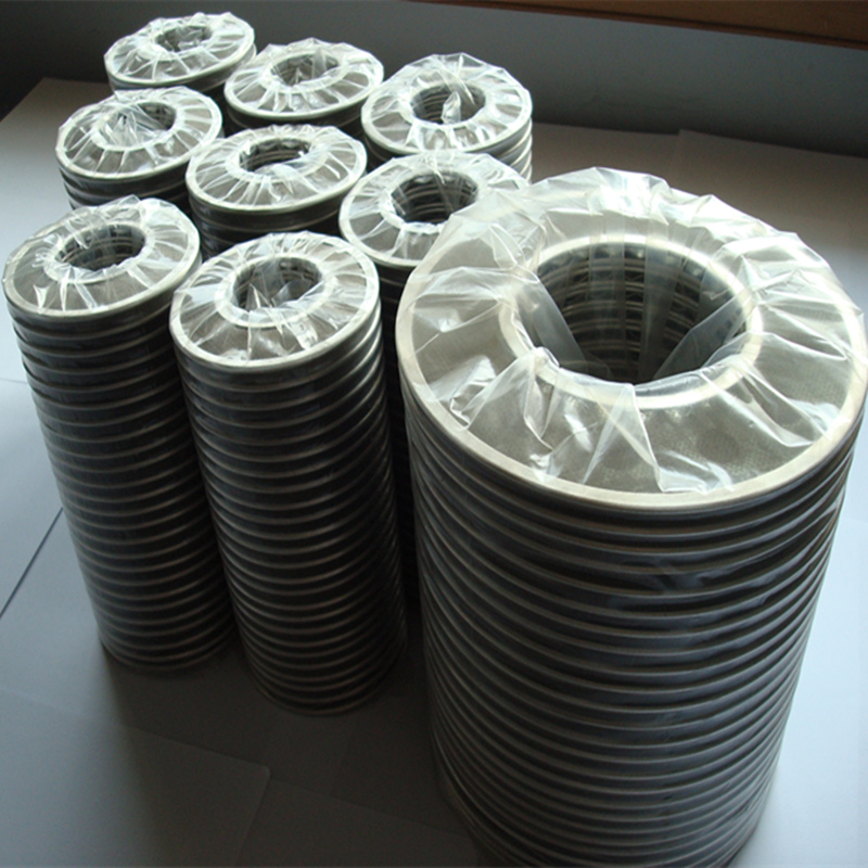 High Quality Stainles Steel Filter Disc/Mesh