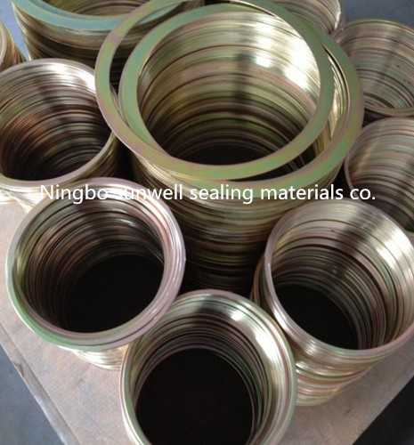 Carbon Steel Rings/316L/304 Gasket Rings