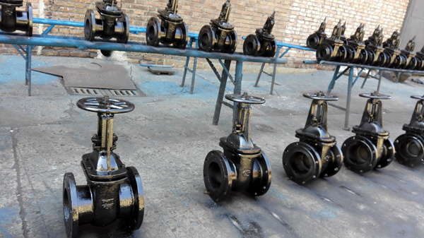 Russian Market Cast Iron GOST Globe Valve