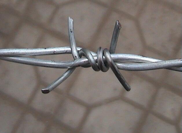 China High Quality Concertina Barbed Wire