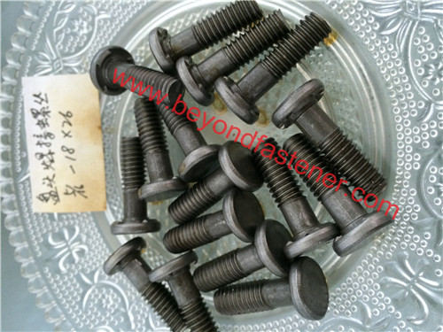 Step Screw Step Bolts