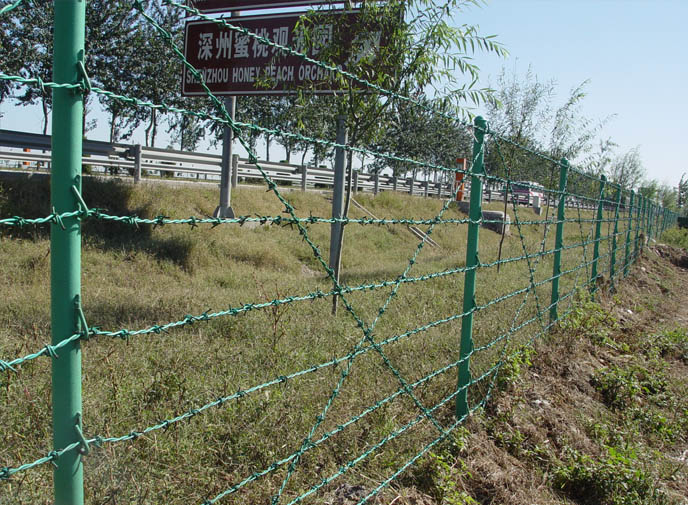 Bwg16 Single Electric Galvanzied Barbed Wire (Anping Factory)