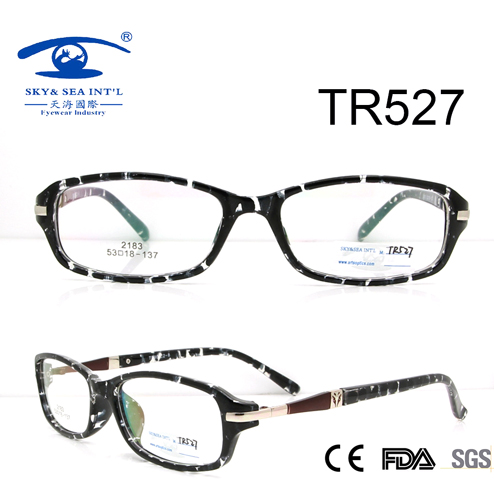 Customized Logo Tr90 Optical Frame (TR527)