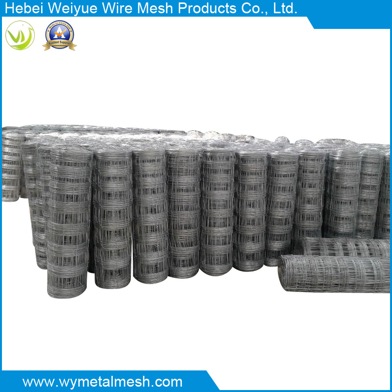 Galvanized Field Fence for Animal