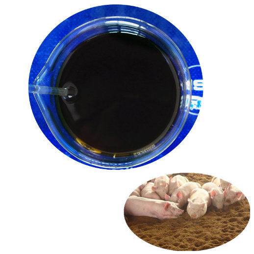 Microbial Inoculant/ Fermentation Bed Specific Inoculant for aquaculture