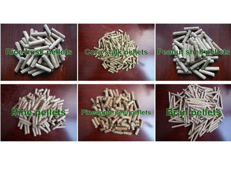 Farms/Organic Herbal Medicine Bamboo Wood Pellet Pressing Machinery