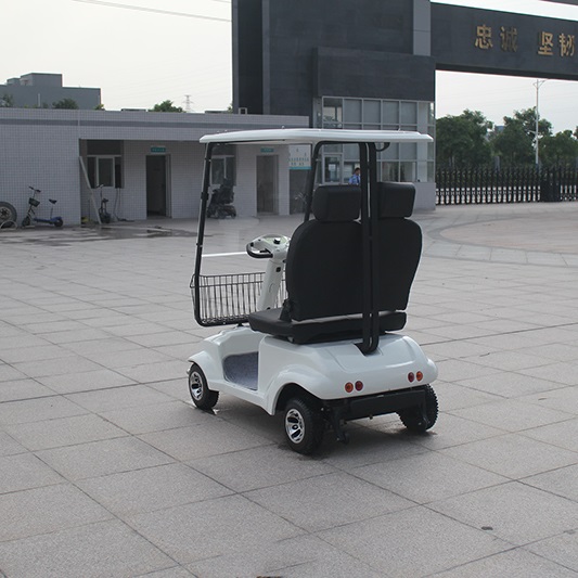 Comfortable Lead Battery Powered Electric Golf Scooter (DL24800-6A / 6B)