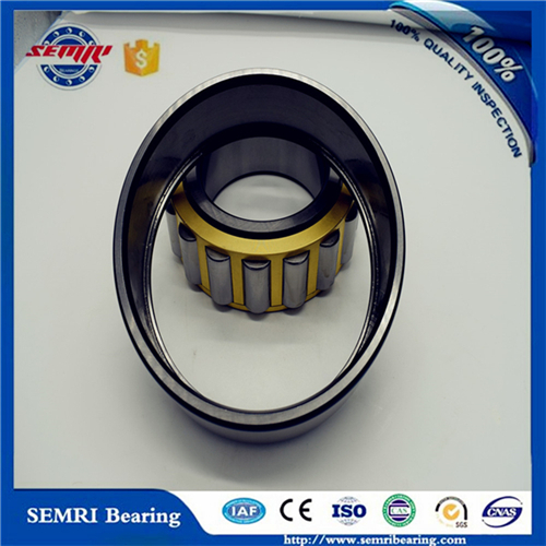 Chinese Manufacturer Semri Cylindrical Roller Bearing with High Quality and Cheap Price