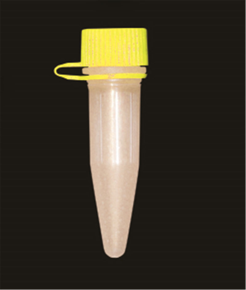 Micro-Centrifuge Plastic Tube with Screw Cap (4610-1824)