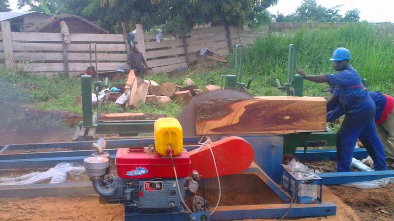 Circular Log Sawing Sawmill Machine with Carriage