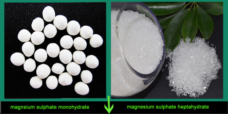 White Crystal Heptahydrate Magnesium Sulfate