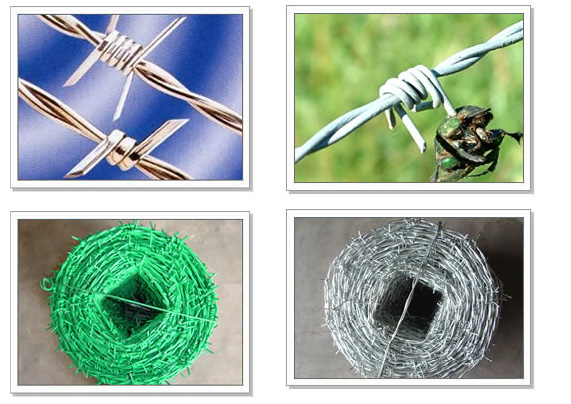 Galvanized Iron Barbed Wire in Electro and Hot-Dipped