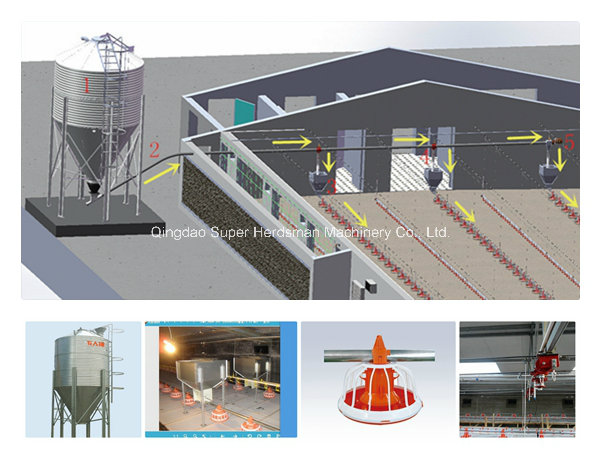 Full Set Poultry Farm Equipment for Chicken Production