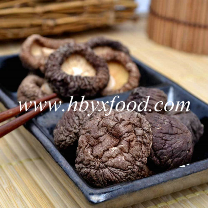 Factory Wholesale Edible Organic Dried Smooth Shiitake Mushroom Healthy Food