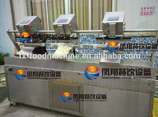 Fsdz-3 Streamlined Vacunnm (Gas Flushing) Packing Machine, Vacuum Packaging Machine for Vegetable Meat Fish Garlic Onon Potato Carrot Nuts Beans Rice Tea etc