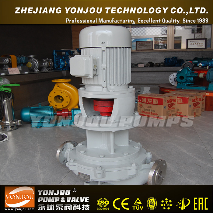 Hot Oil Transfer Pump/Diesel Engine Hot Oil Pump/ Thermal Oil Pump