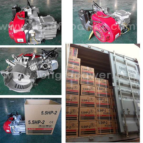 5.5HP Gx160 Half Gasoline Generator Engine with CE Soncap Ciq