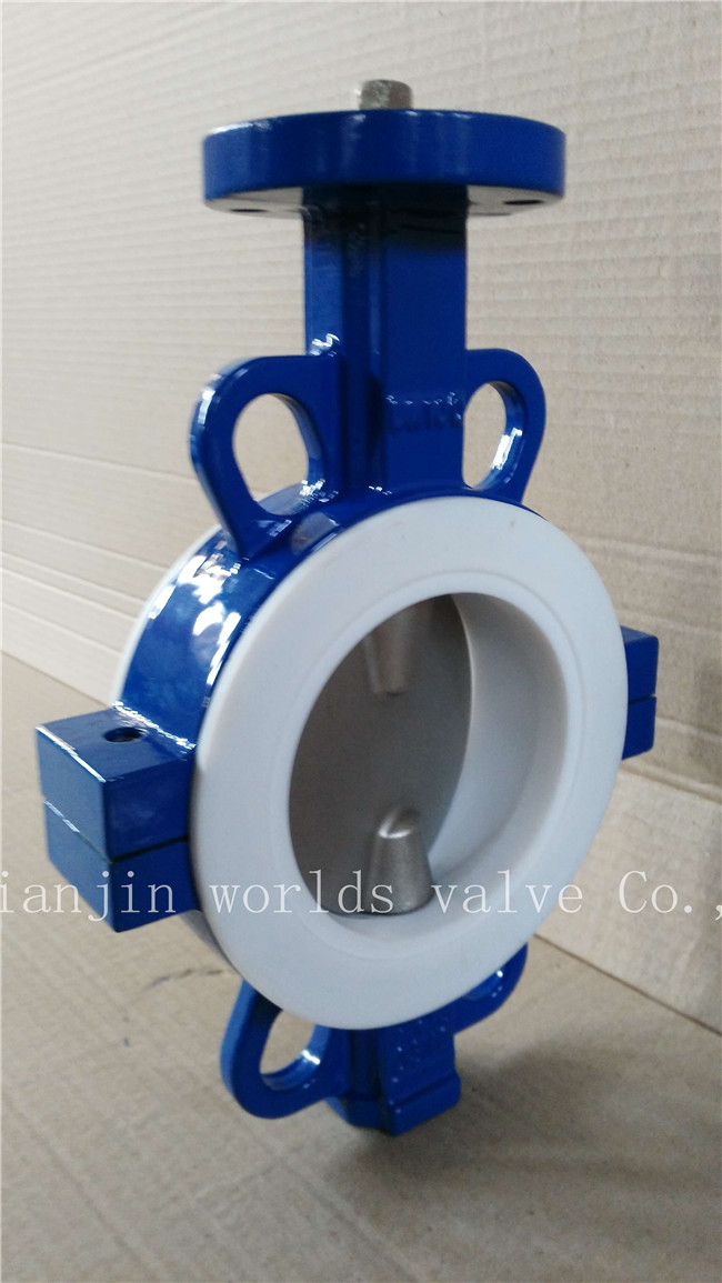 PTFE Butterfly Valve with Ce ISO Wras (CBF04-TA01)