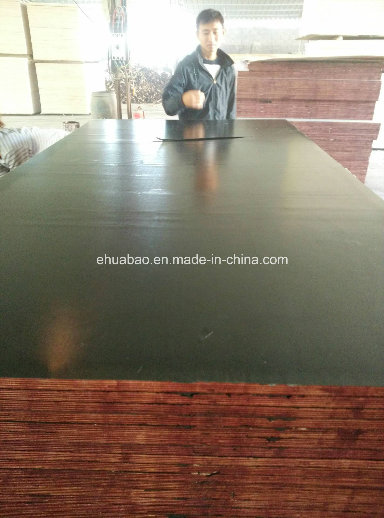 Phenolic Glue Formwork Laminated Plywood Birch Core for Constructions