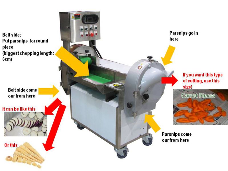 Root Vegetable & Leaf Vegetable Cutting Shredding Slicing Dicing Machine