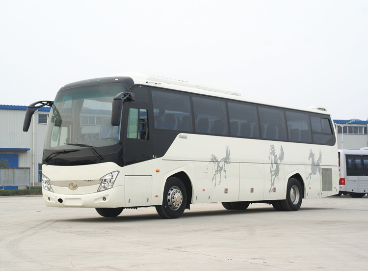 Low Price 12m 55 Seats Passenger Bus for Sale