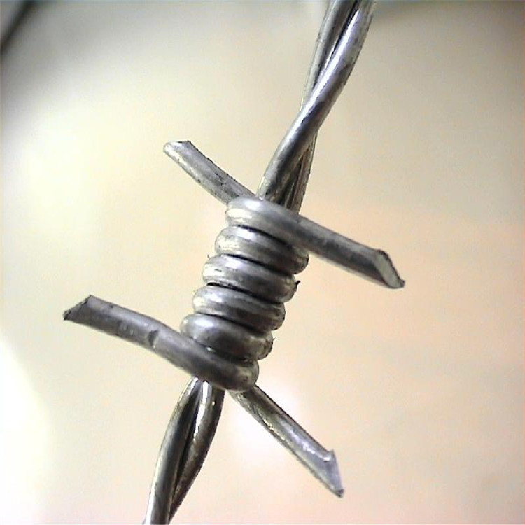 High Quality Factory Supply Cheap Barbed Wire Price