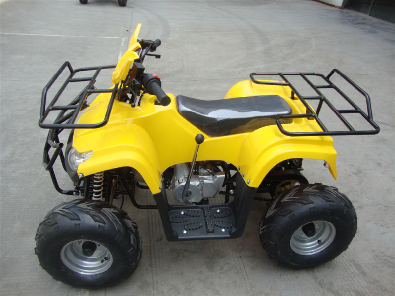 New Cheap 110cc ATV Plastic Body