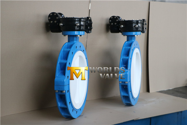 Threaded End Connection Full PTFE Lined Butterfly Valve