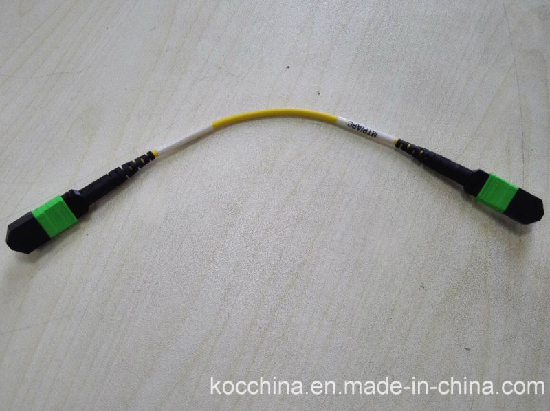 MPO- MPO Fiber Optical Jumper for Data Center