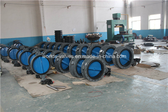 Double Flange Butterfly Valve with Paining Disc