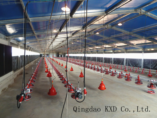 Prefabricated Poultry House/Chicken House (KXD-PCH5)