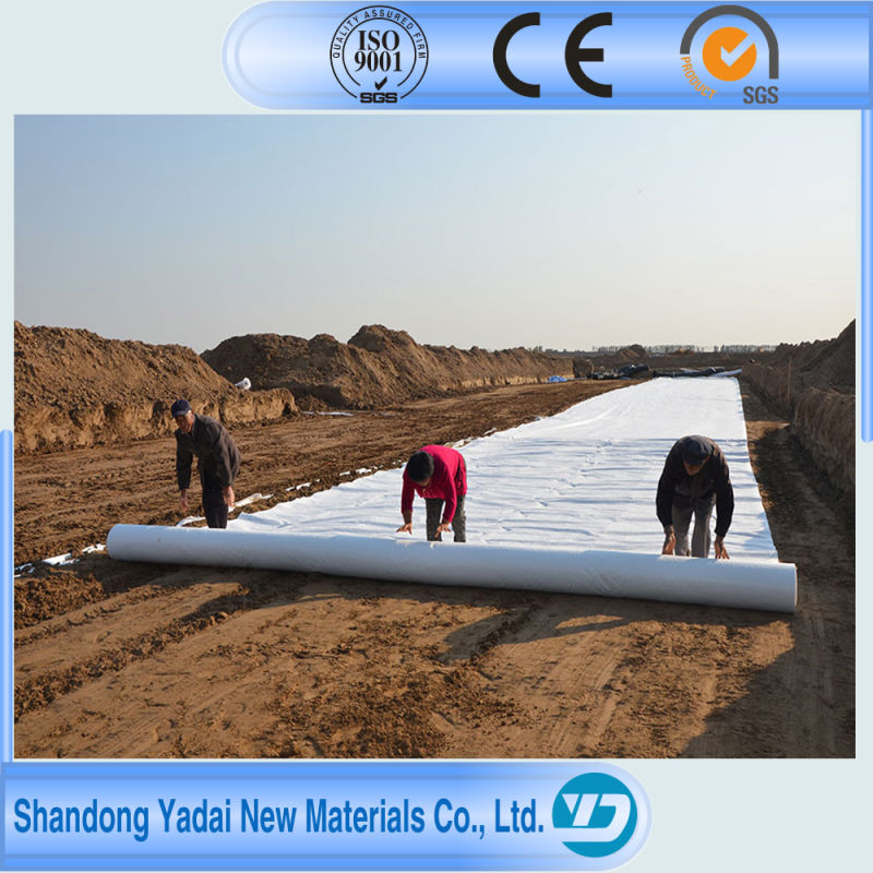 HDPE Geomembrane Impermeable Membrane for Ouchi Fish Pond Liner, Aquaculture, Turtle Breeding