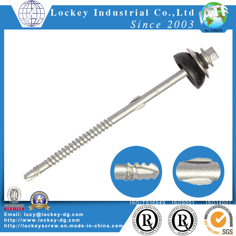 Stainless Steel 304 Hex Head Self Drilling Screw with Rubber Washer