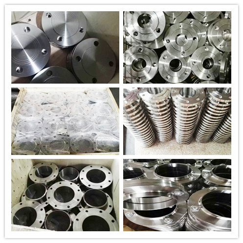 Forged Stainless Steel Plate Flange