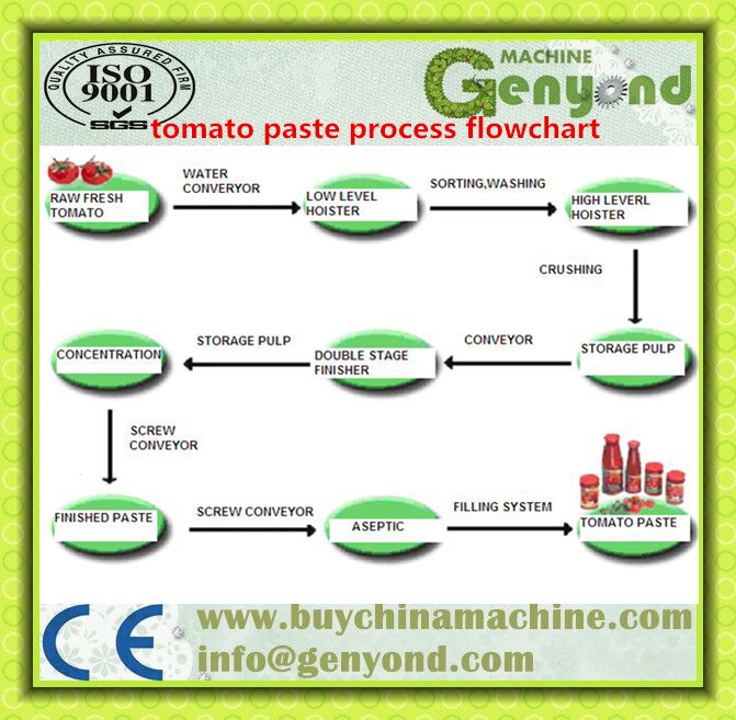 Automatic Stainless Steel Tomato Paste Making Machine