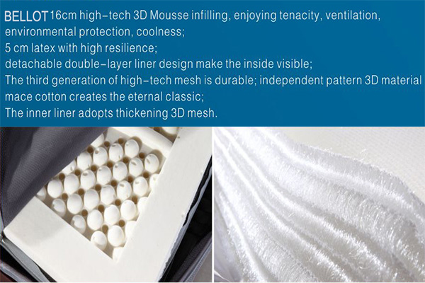 3D Mesh Breathable Fabric Anti-Mite Memory Foam Bulk Mattress