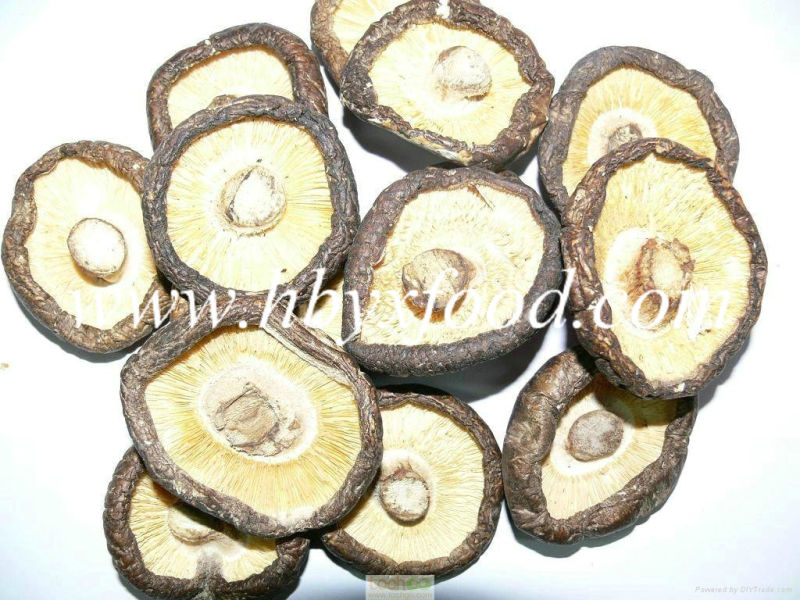 2015 Dried Smooth Shiitake Mushroom From Hubei Province