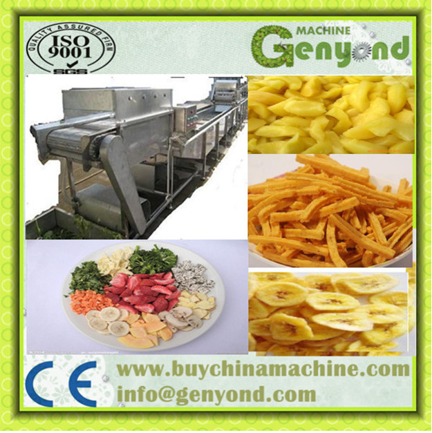 Continuous Vegetable and Fruit Dehydrator Machine