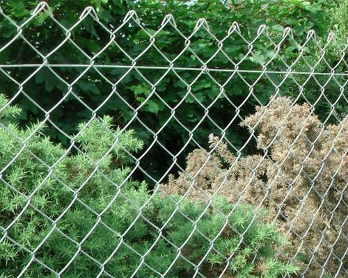 Professional Galvanized / PVC Coated High Corrosion Resistance Chain Link Fence