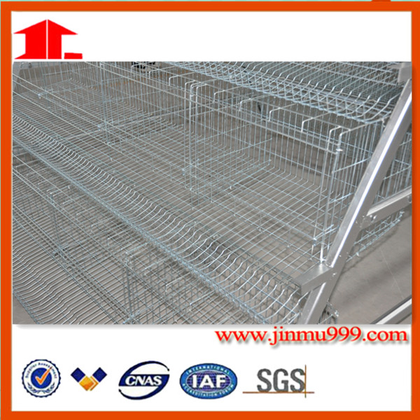 Chicken Layer/Broiler/Pullet Battery Cage